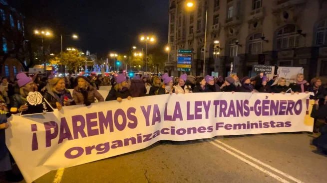 ❗️Социалистические феминистки обращаются в ООН с критикой испанского Закона о Трансгендерах