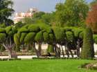 Что ожидает гостей в «Микрополисе» - необычном тематическом парке Мадрида
